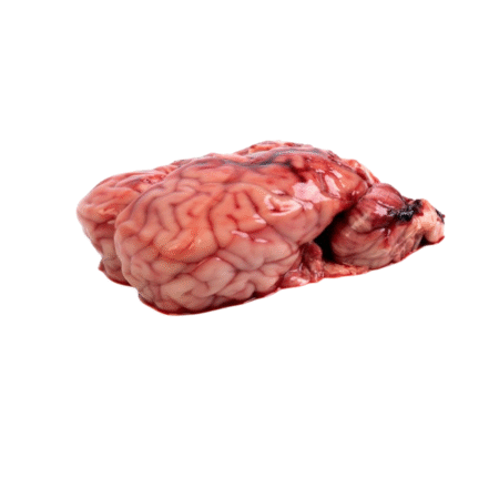 Halal Beef Brain Barking UK