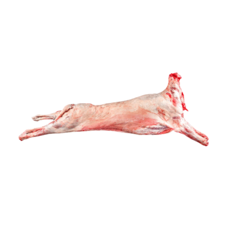 Hala Whole Sheep Barking