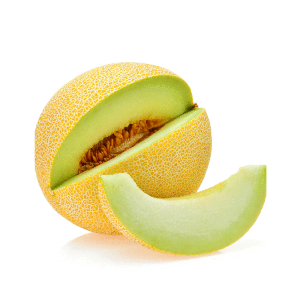 Galia Melon