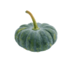Green Pumpkin 500g