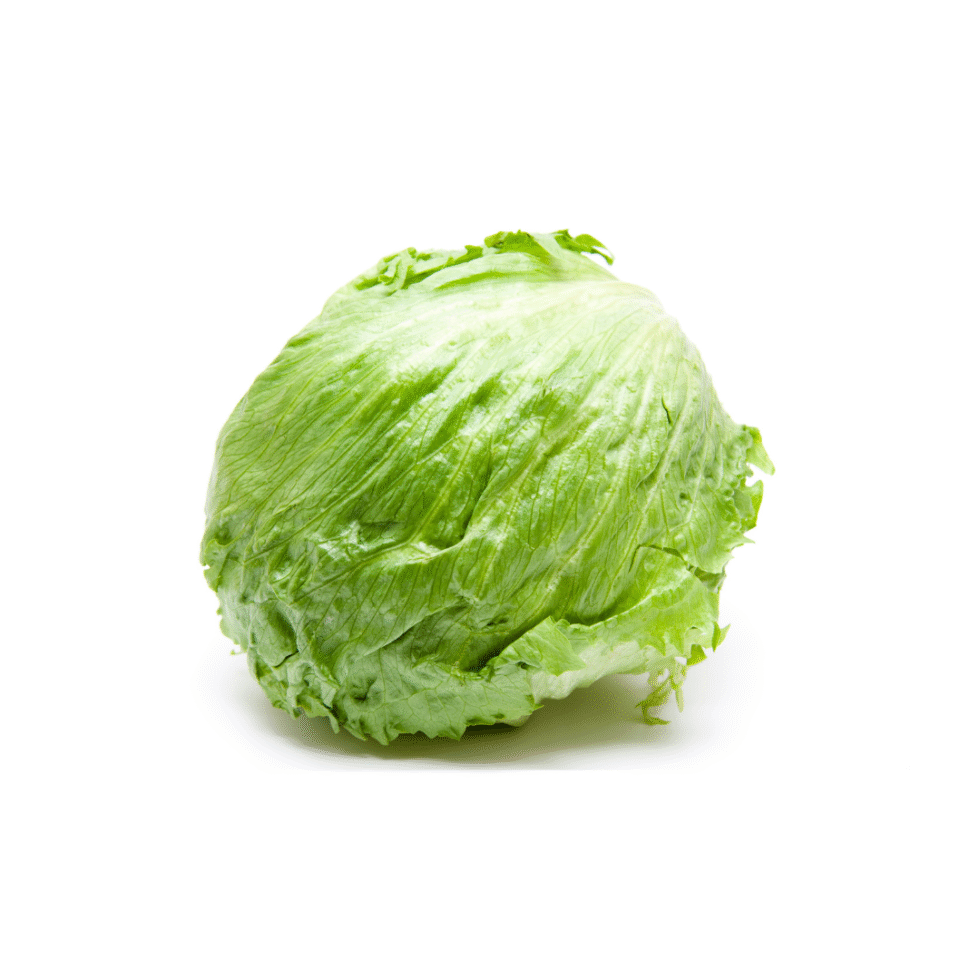 Iceberg Lettuce