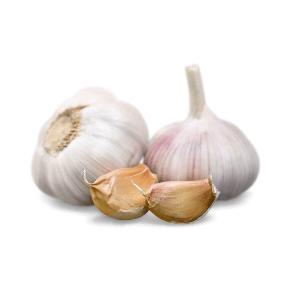 KVEG GARLIC