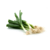 Spring Onions