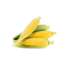 Sweet Corn